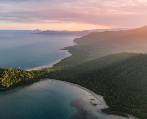 Cape Tribulation