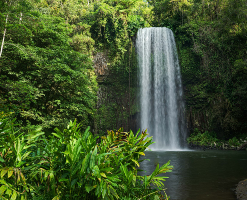 Millaa Millaa Falls