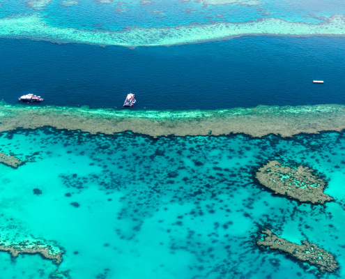 Outer Reef Platoon