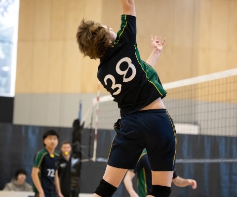 Volleyball